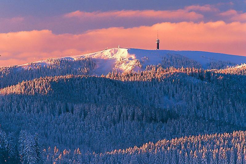 Aparthotel Kupferkanne Todtmoos Kültér fotó